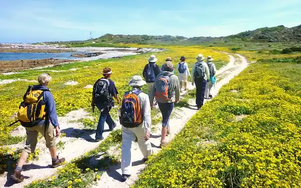 Fynbos Quad Trail to Mount Dyer